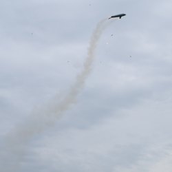  Delfin let pokracuje 